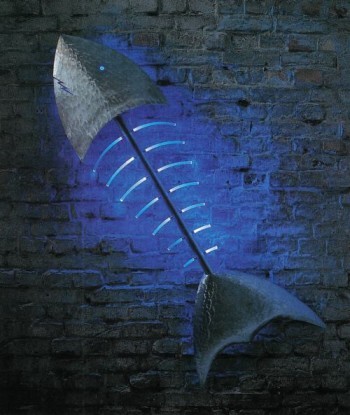 fishbig1.jpg